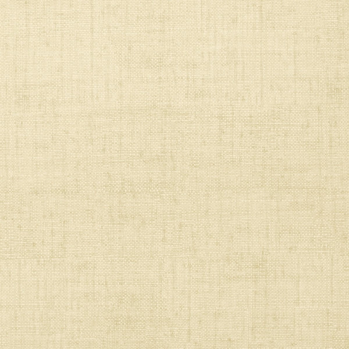 Thibaut Texture Resource 3 Bankun Raffia Behang T6814 - LAB COLOUR THE WORLD