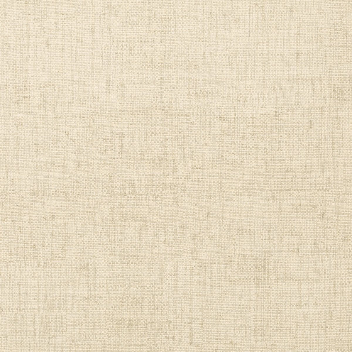 Thibaut Texture Resource 4 Bankun Raffia Behang T14135 - LAB COLOUR THE WORLD
