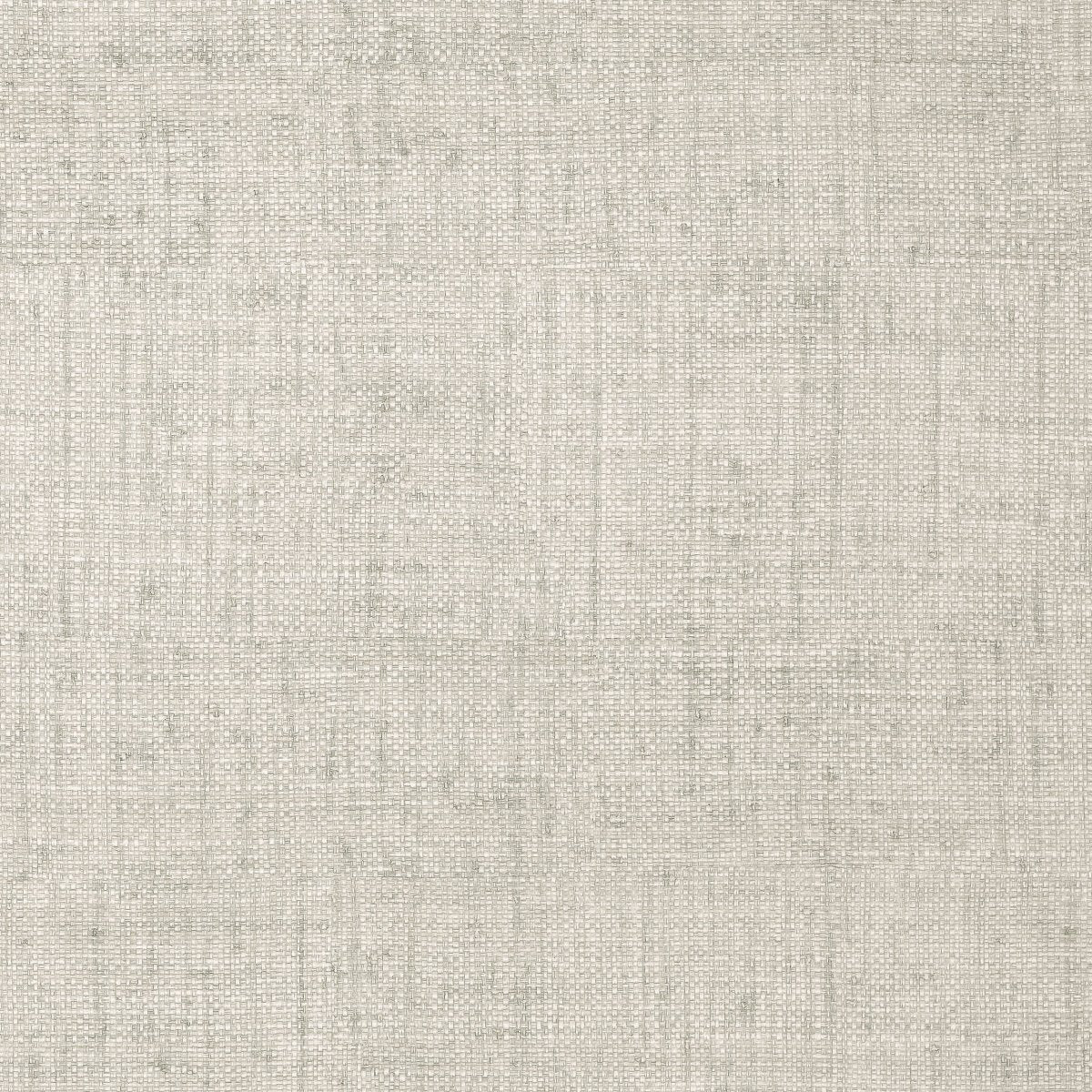 Thibaut Texture Resource 4 Bankun Raffia Behang T14138 - LAB COLOUR THE WORLD