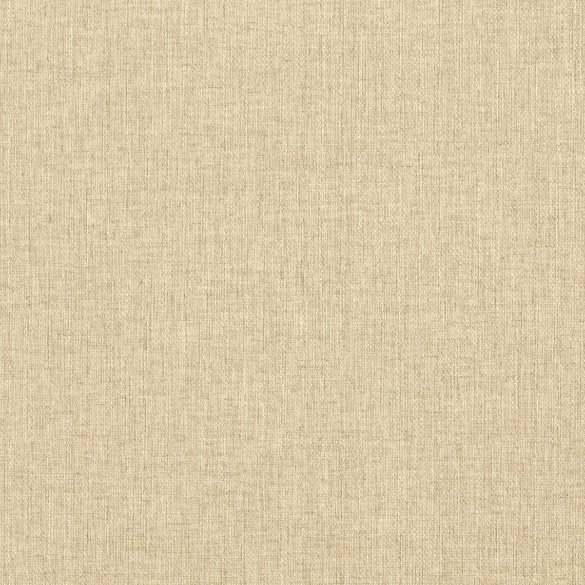 Thibaut Texture Resource 4 Flanders Behang T14155 - LAB COLOUR THE WORLD