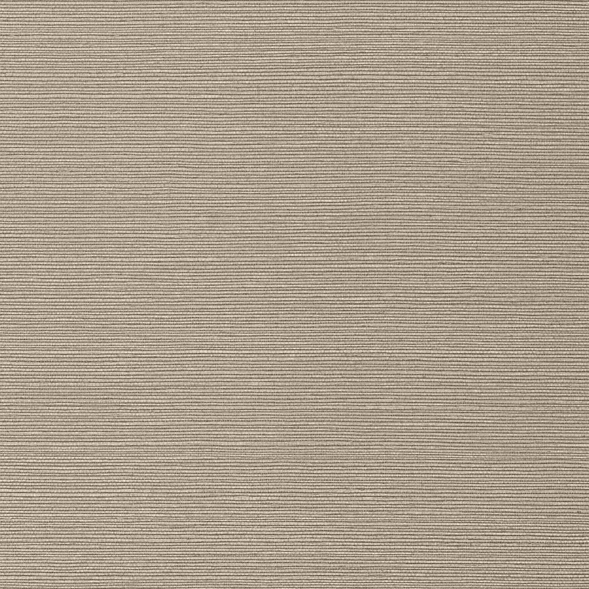 Thibaut Texture Resource 6 Taluk Sisal Behang TWW75147 - LAB COLOUR THE WORLD