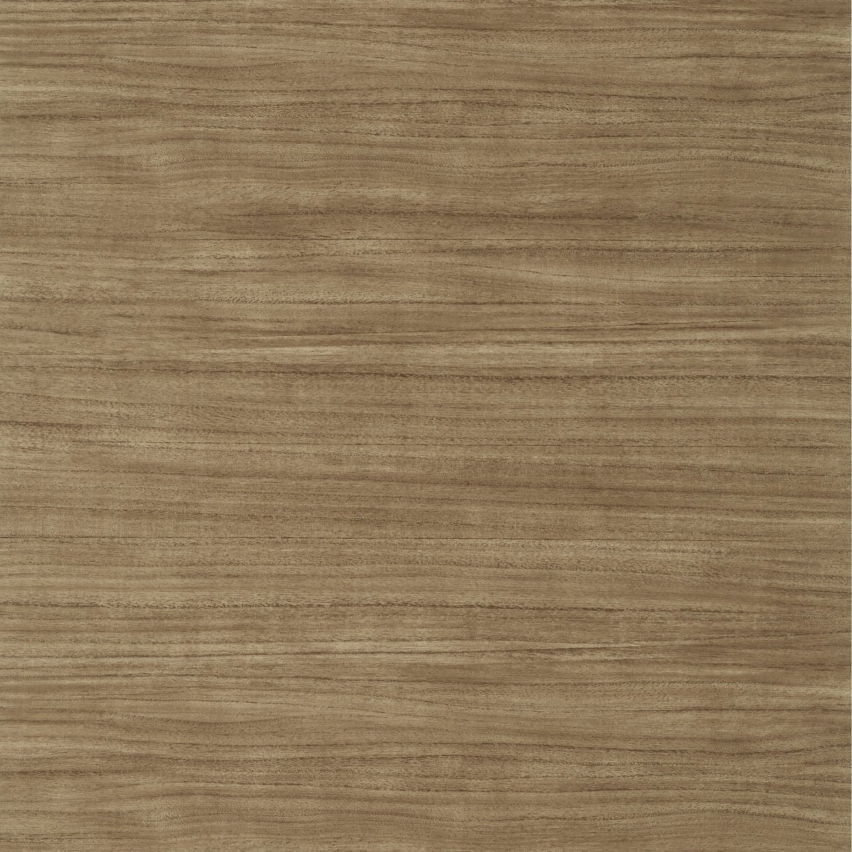 Thibaut Texture Resource 7 Woodrow Behang T10986 - LAB COLOUR THE WORLD