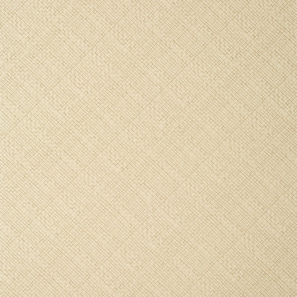 Thibaut Texture Resource 8 Jackson Weave Behang T14503 - LAB COLOUR THE WORLD