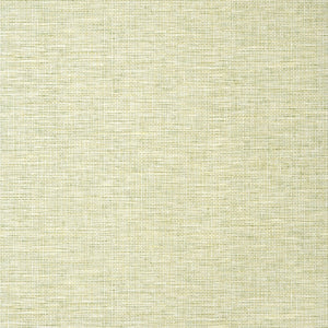 Thibaut Texture Resource 8 Spiro Behang T14585 - LAB COLOUR THE WORLD