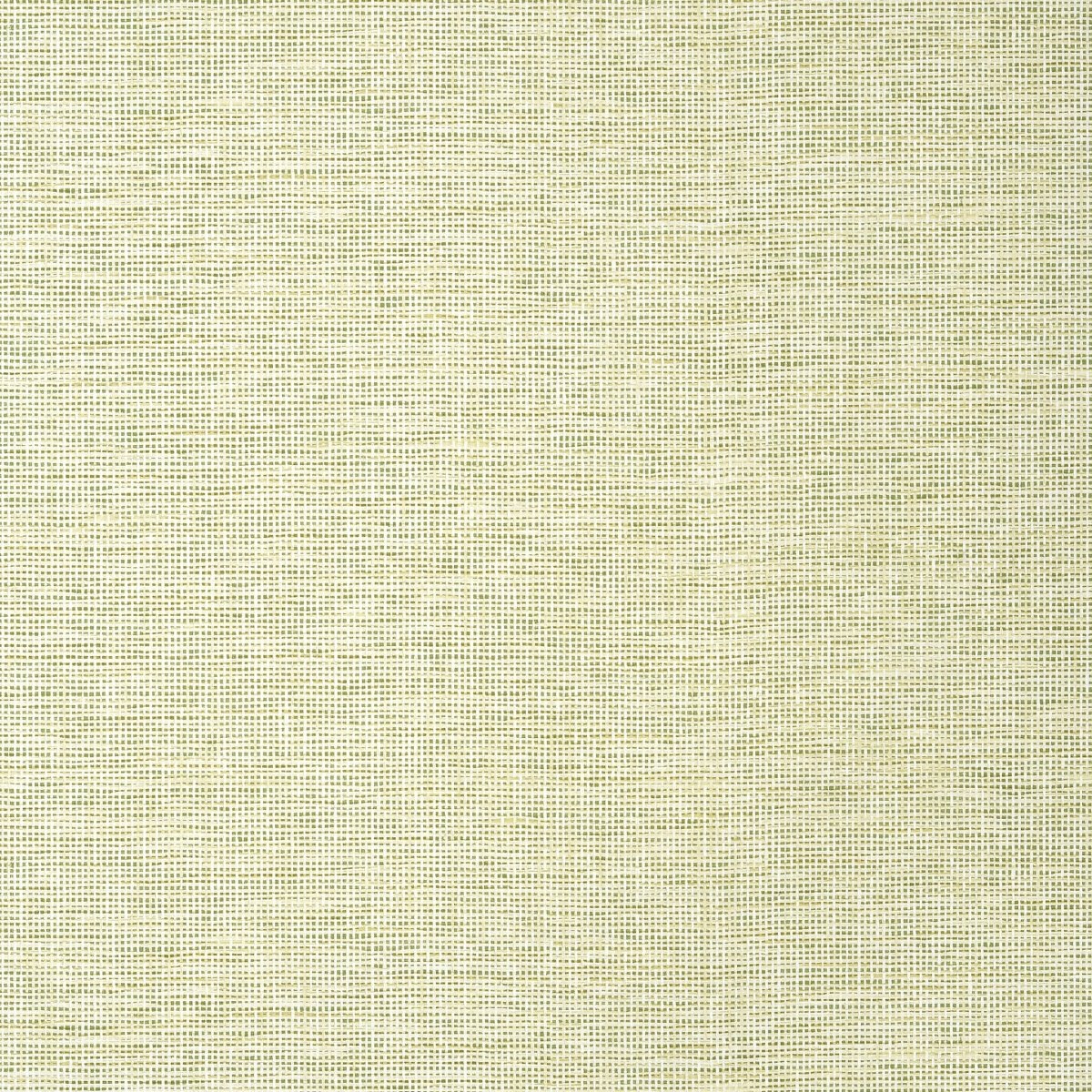 Thibaut Texture Resource 8 Spiro Behang TWW14585 - LAB COLOUR THE WORLD
