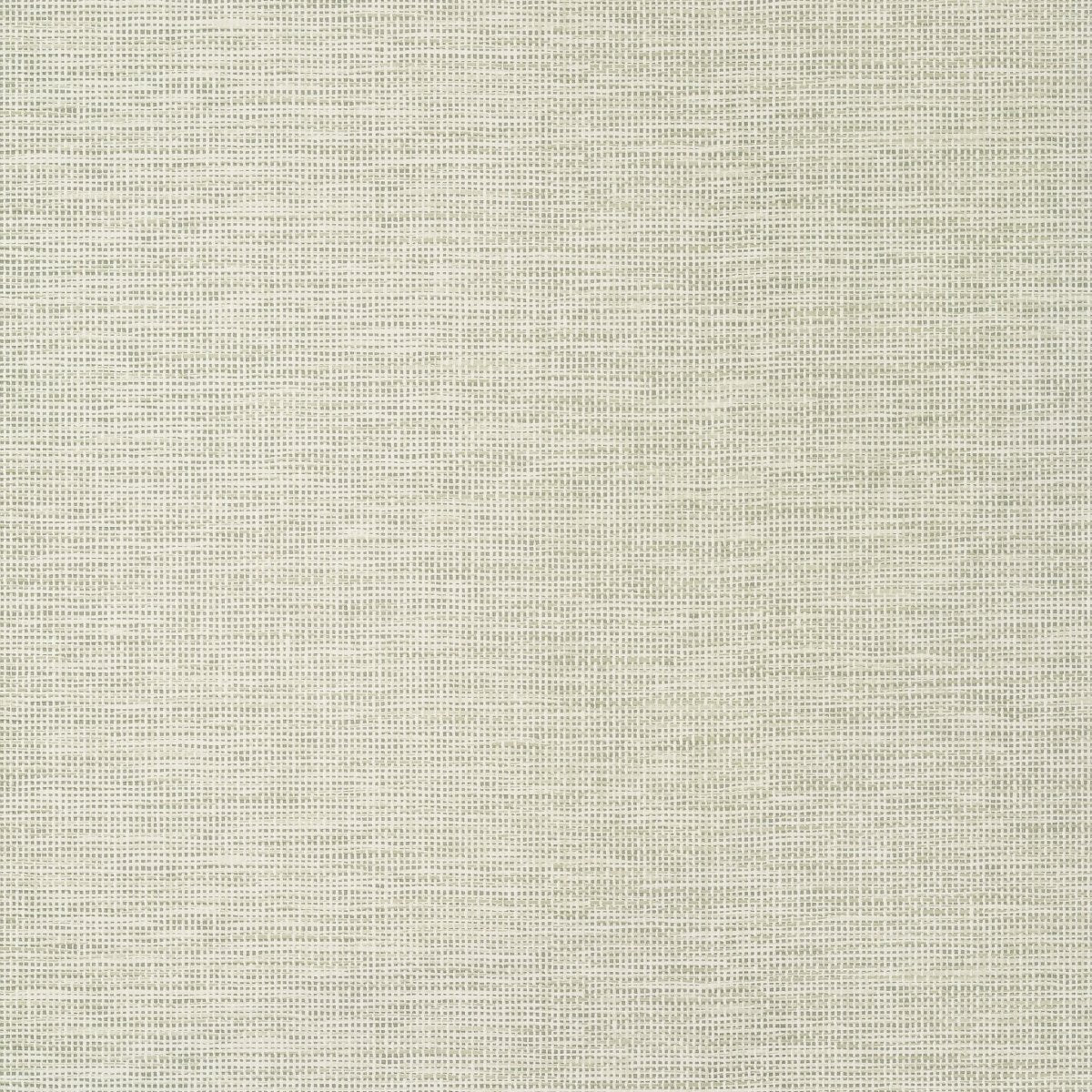 Thibaut Texture Resource 8 Spiro Wide Width Behang TWW14563 - LAB COLOUR THE WORLD