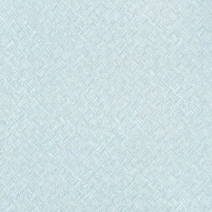 Thibaut Texture Resource 9 Saddle Weave Behang T34063 - LAB COLOUR THE WORLD