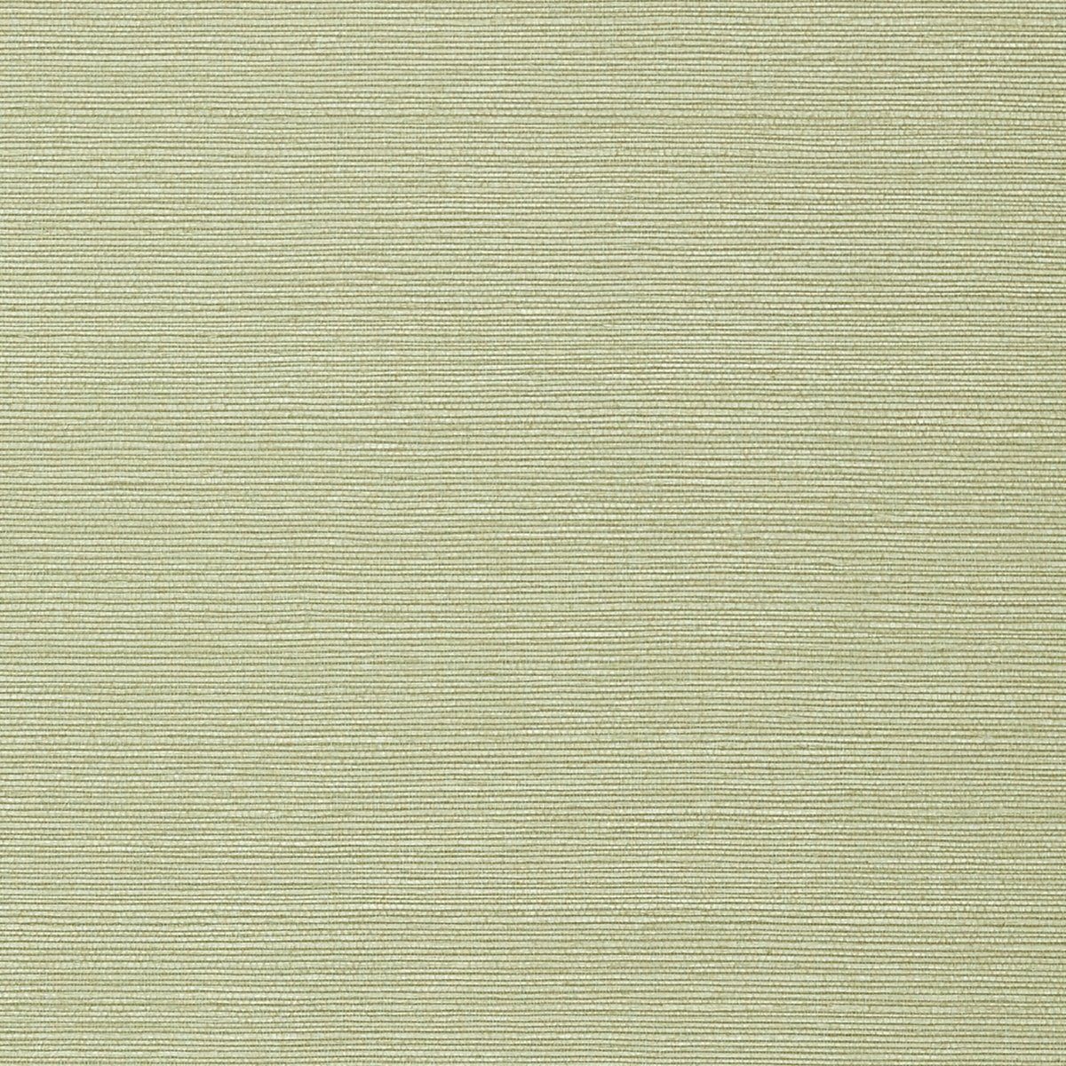 Thibaut Texture Resource 9 Taluk Sisal Behang T75153 - LAB COLOUR THE WORLD