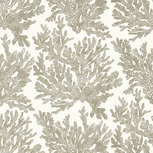 Thibaut Tropics Marine Coral Behang T10140 - LAB COLOUR THE WORLD