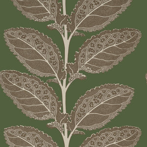 Thibaut Vista Lacinato Behang T12040 - LAB COLOUR THE WORLD