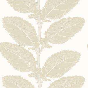 Thibaut Vista Lacinato Behang T12041 - LAB COLOUR THE WORLD