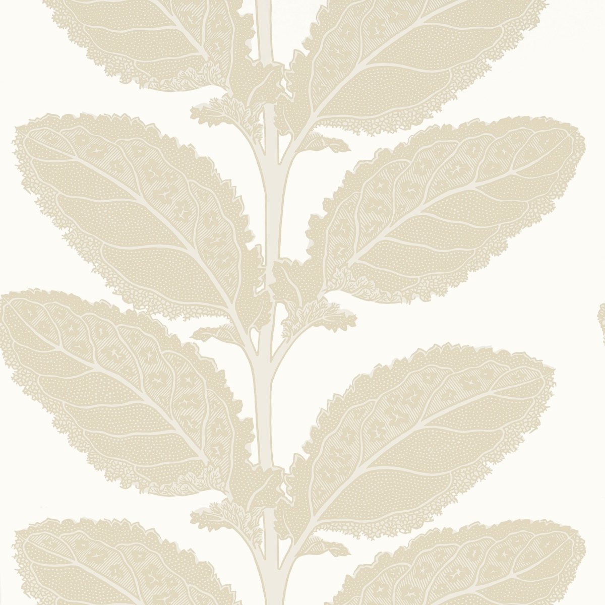 Thibaut Vista Lacinato Behang T12041 - LAB COLOUR THE WORLD