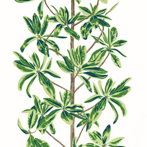 Thibaut Wanderlust MANGROVE TREE Green and White T45035 - LAB COLOUR THE WORLD