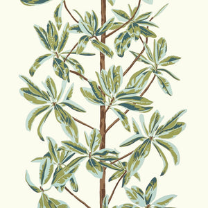 Thibaut Wanderlust MANGROVE TREE Sage T45034 - LAB COLOUR THE WORLD