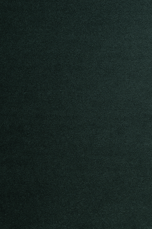 Tissage Mahieu Velveteen Behang Pine - LAB COLOUR THE WORLD