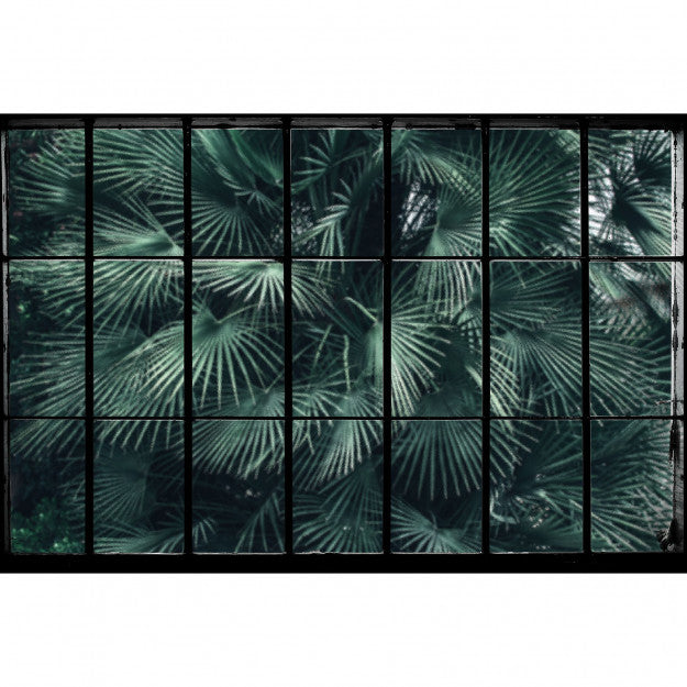 Les Dominotiers Tropical Window Vert Behang DOM 435