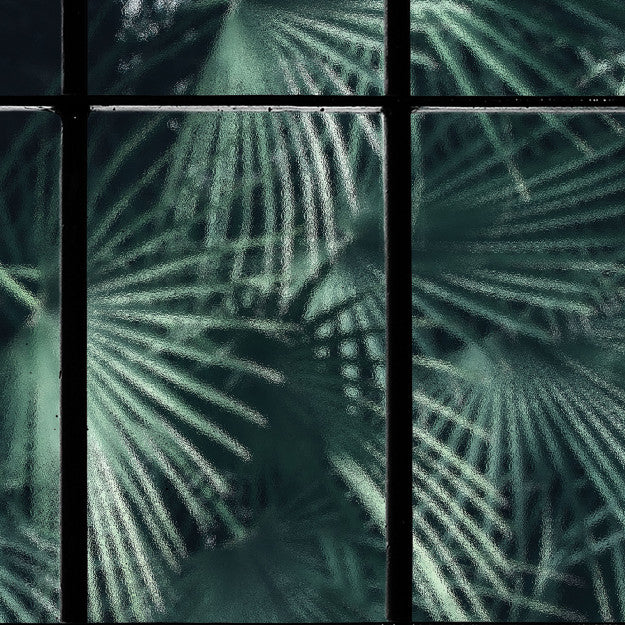 Les Dominotiers Tropical Window Vert Behang DOM 435