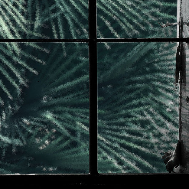 Les Dominotiers Tropical Window Vert Behang DOM 435