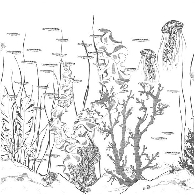 Les Dominotiers Underwater Behang DOM 311