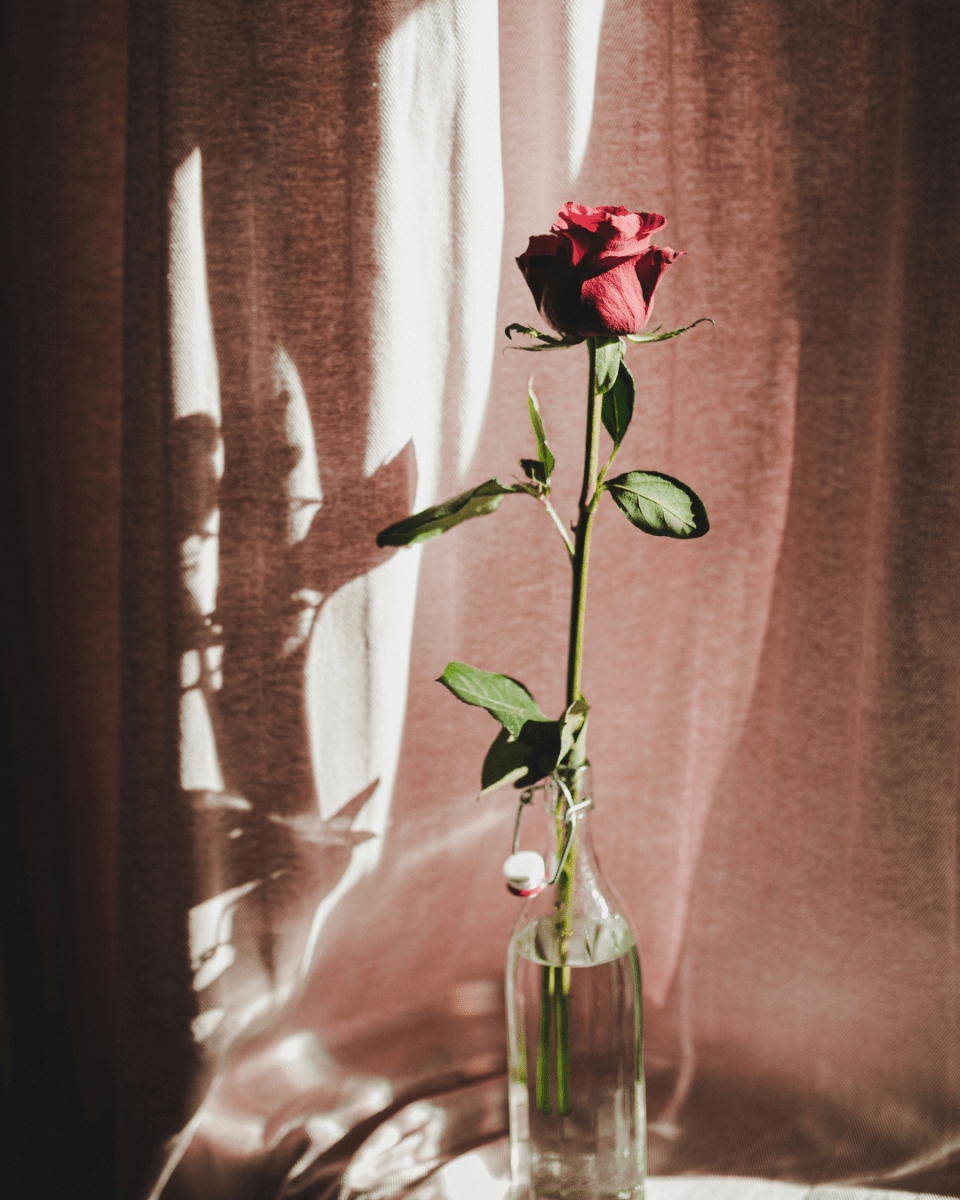 VALENTINE NO. 609 - LAB COLOUR THE WORLD