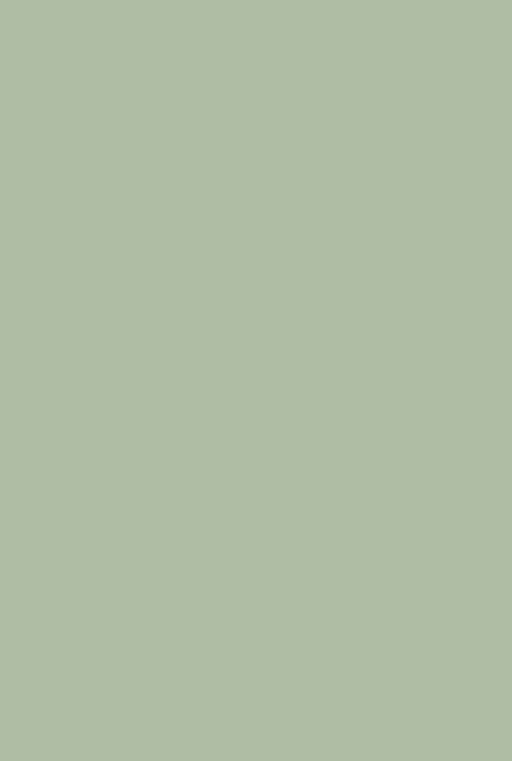 Whirlybird no. 309 - LAB COLOUR THE WORLD