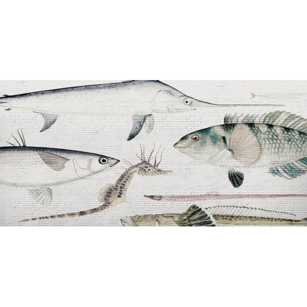 Les Dominotiers White Brick Wall & Fish Blanc Et Bleu Behang DOM 401