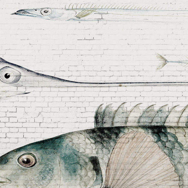 Les Dominotiers White Brick Wall & Fish Blanc Et Bleu Behang DOM 401