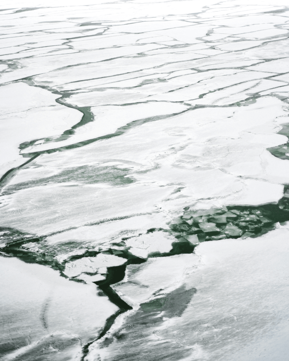 WHITE ICE NO. 39 - LAB COLOUR THE WORLD