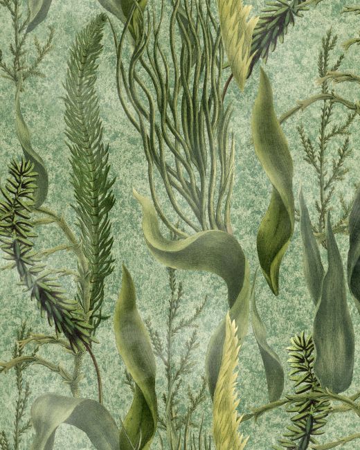 Mind The Gap Aquatic Plants Behang