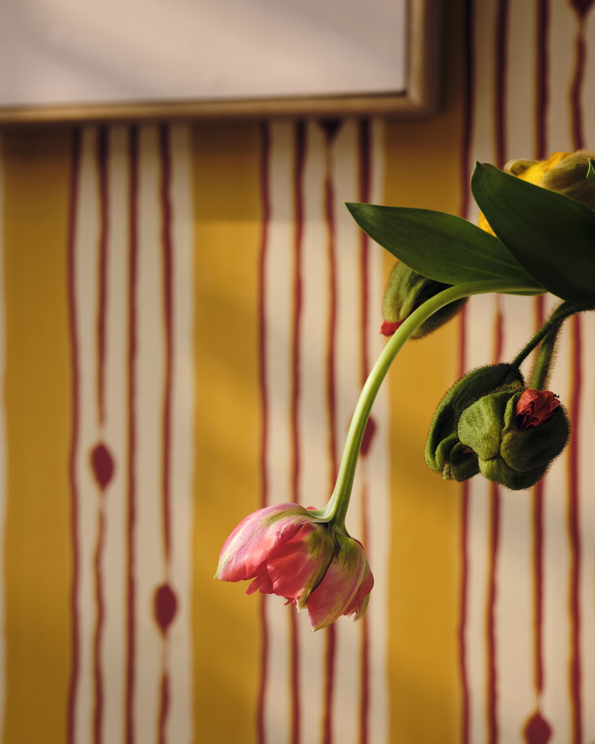 Mind The Gap Minuano Lemon Behang
