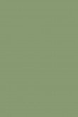 Yeabridge Green no. 287 - LAB COLOUR THE WORLD