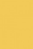 Yellow Ground no. 218 - LAB COLOUR THE WORLD