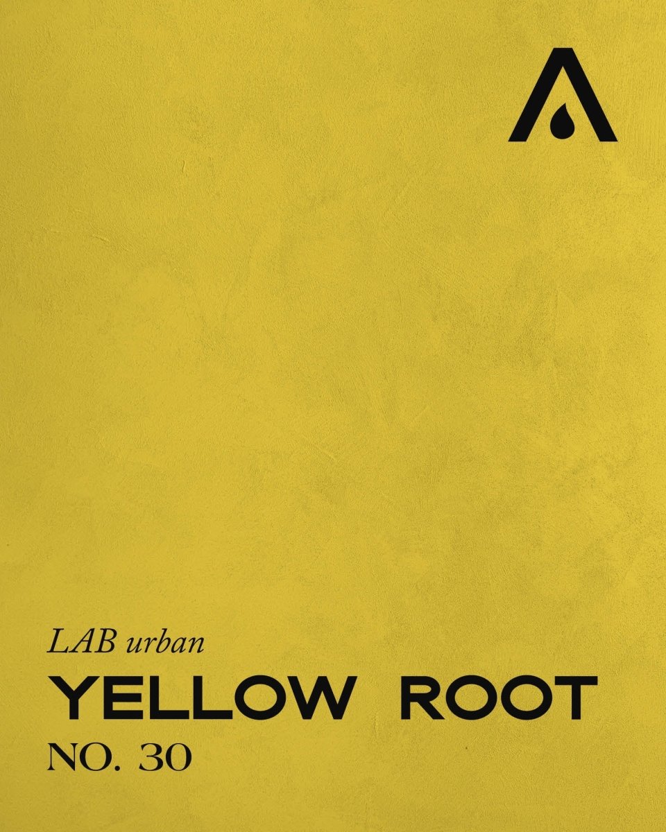YELLOW ROOT NO. 30 - LAB COLOUR THE WORLD