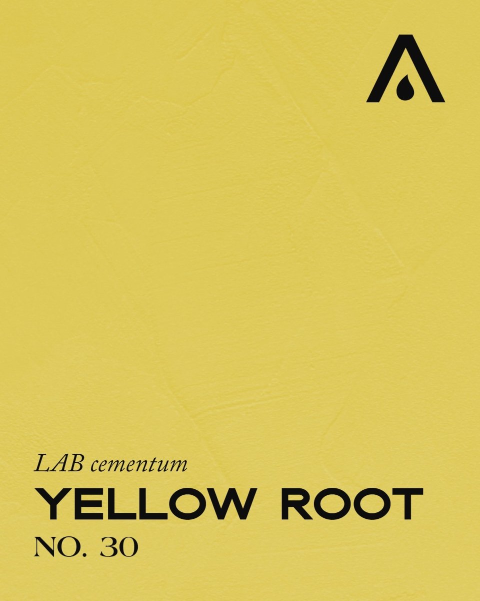 YELLOW ROOT NO. 30 - LAB COLOUR THE WORLD