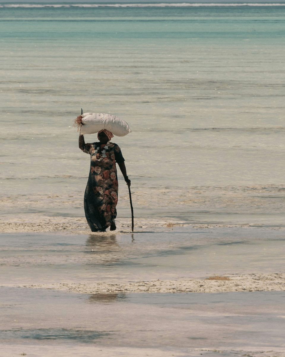 ZANZIBAR NO. 852 - LAB COLOUR THE WORLD