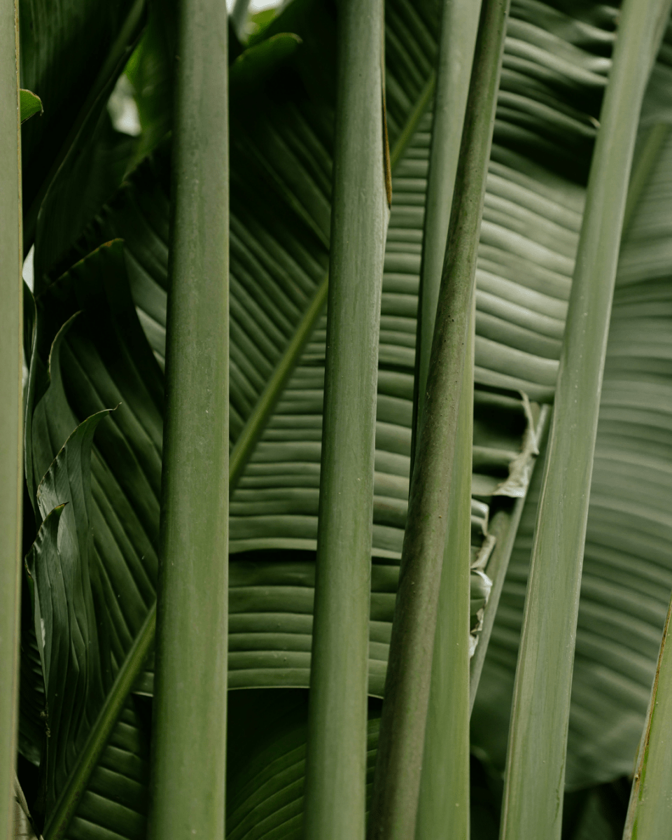 ZANZIBAR NO. 852 - LAB COLOUR THE WORLD