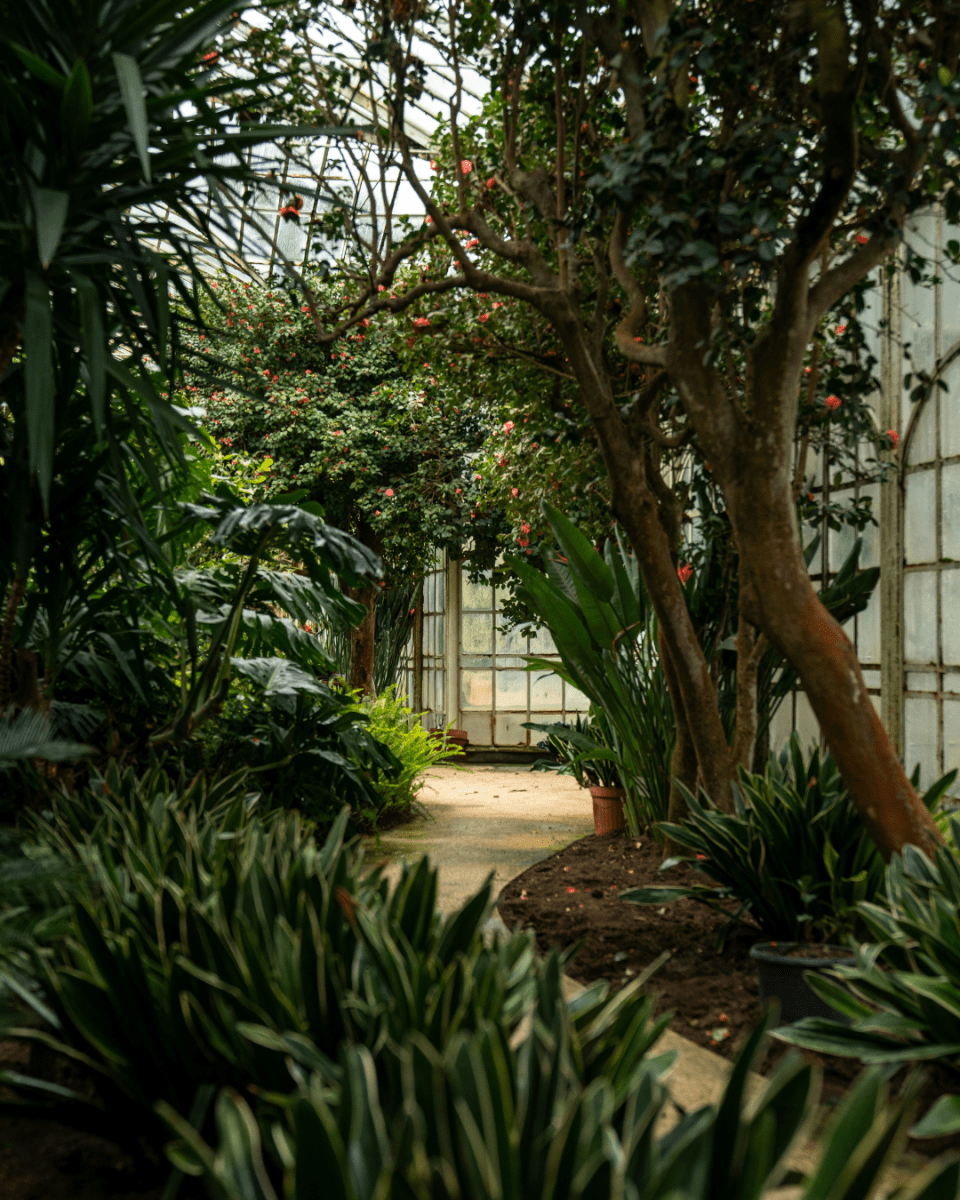 ZEN GARDEN NO. 680 - LAB COLOUR THE WORLD