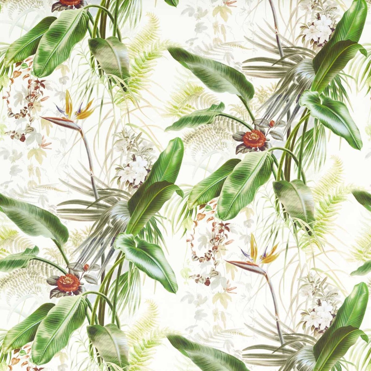 Zoffany Paradise Row Behang 312989 - LAB COLOUR THE WORLD