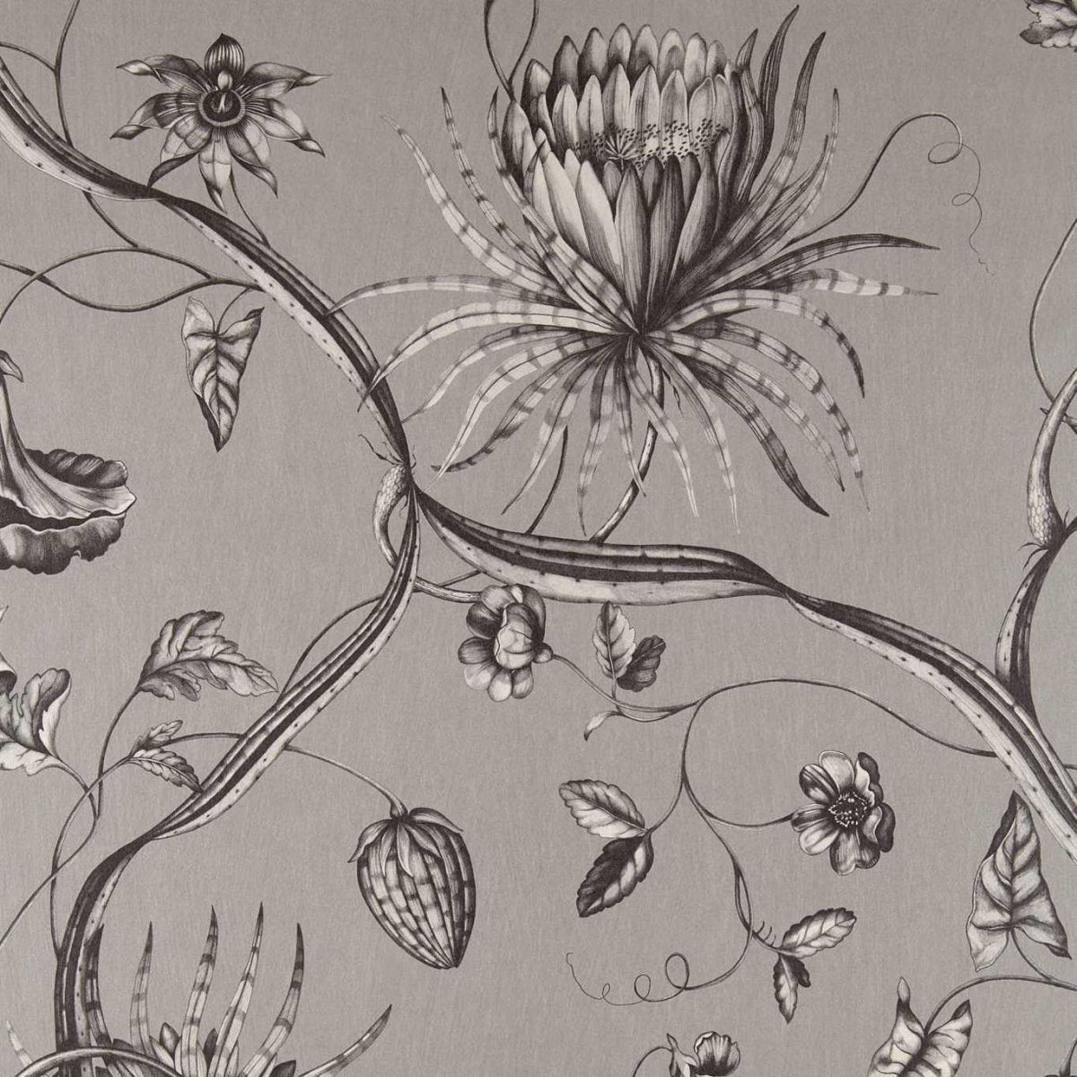 Zoffany Phaedra Behang 312621 - LAB COLOUR THE WORLD