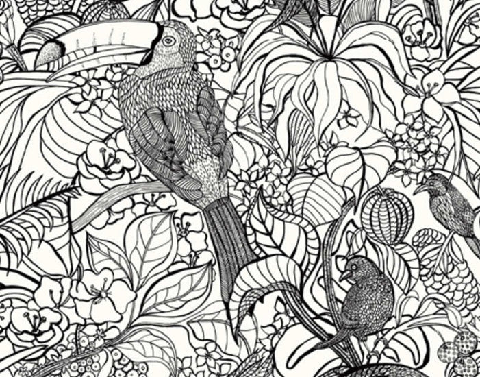 Pierre Frey Costa Rica Behang  Les Dessins 2  FP440001