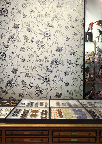 Pierre Frey Jardin De Paradis Behang Les Dessins FP327001