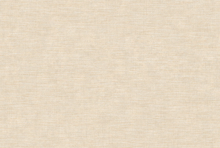 Texam-Home-Raw-Buckram-rw504