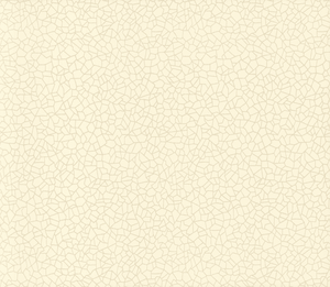 1838 Wallcoverings Craquele Behang Kew Natural 1601-107-03 - LAB COLOUR THE WORLD