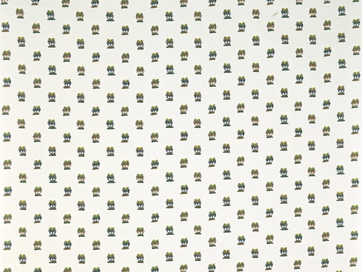 Braquenie Les palmiers de comoglio Behang BP359001