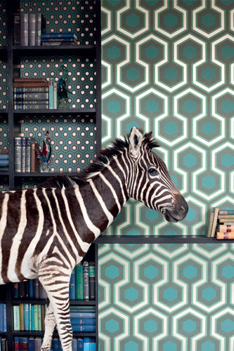 hicks Grand behang cole son luxury by nature sfeer