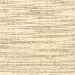 Shang Extra Fine Sisal Behang Thibaut Grasscloth Resource Volume 4 Parchment T5033