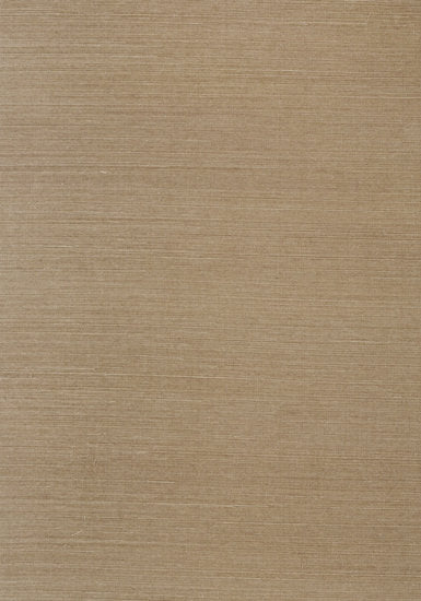 Shang Extra Fine Sisal Behang Thibaut Grasscloth Resource Volume 4 T41174 Granite