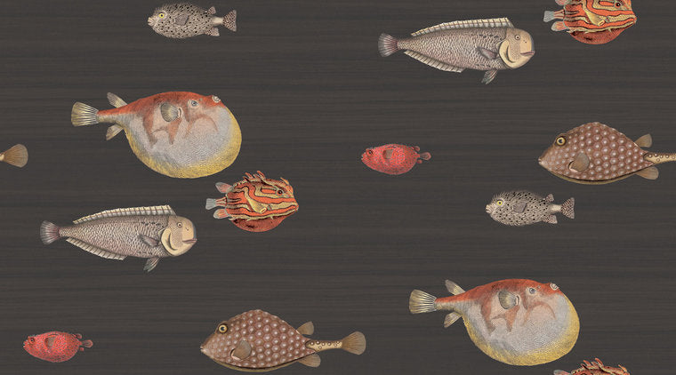 Fornasetti Acquario behang Cole & Son 97-10048