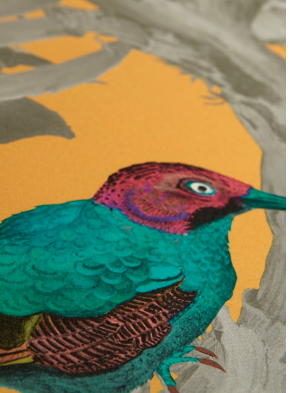 Kit Miles Ecclesiastical Botanica Behang 103 a