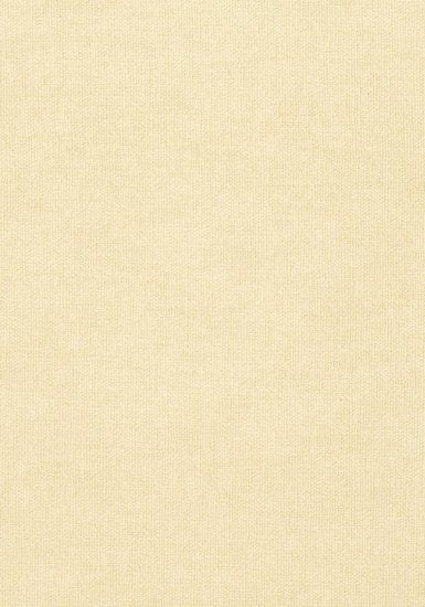 Behang Thibaut Dublin Weave T57140 - Texture Resource 5 Collectie Luxury By Nature